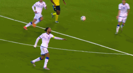 瑞士, 本场比赛, net